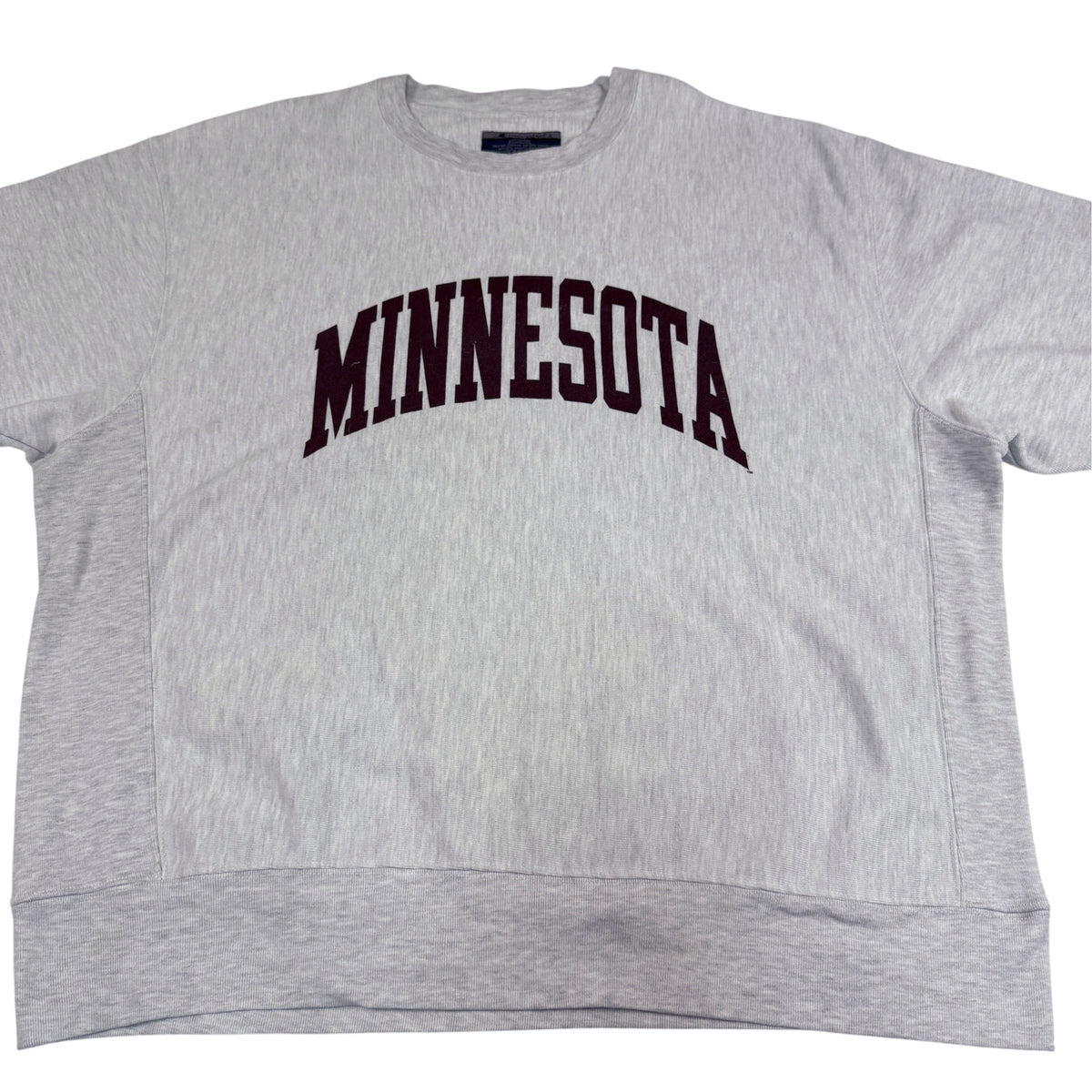 胸の MINNESOTA アーチロゴ 上半身