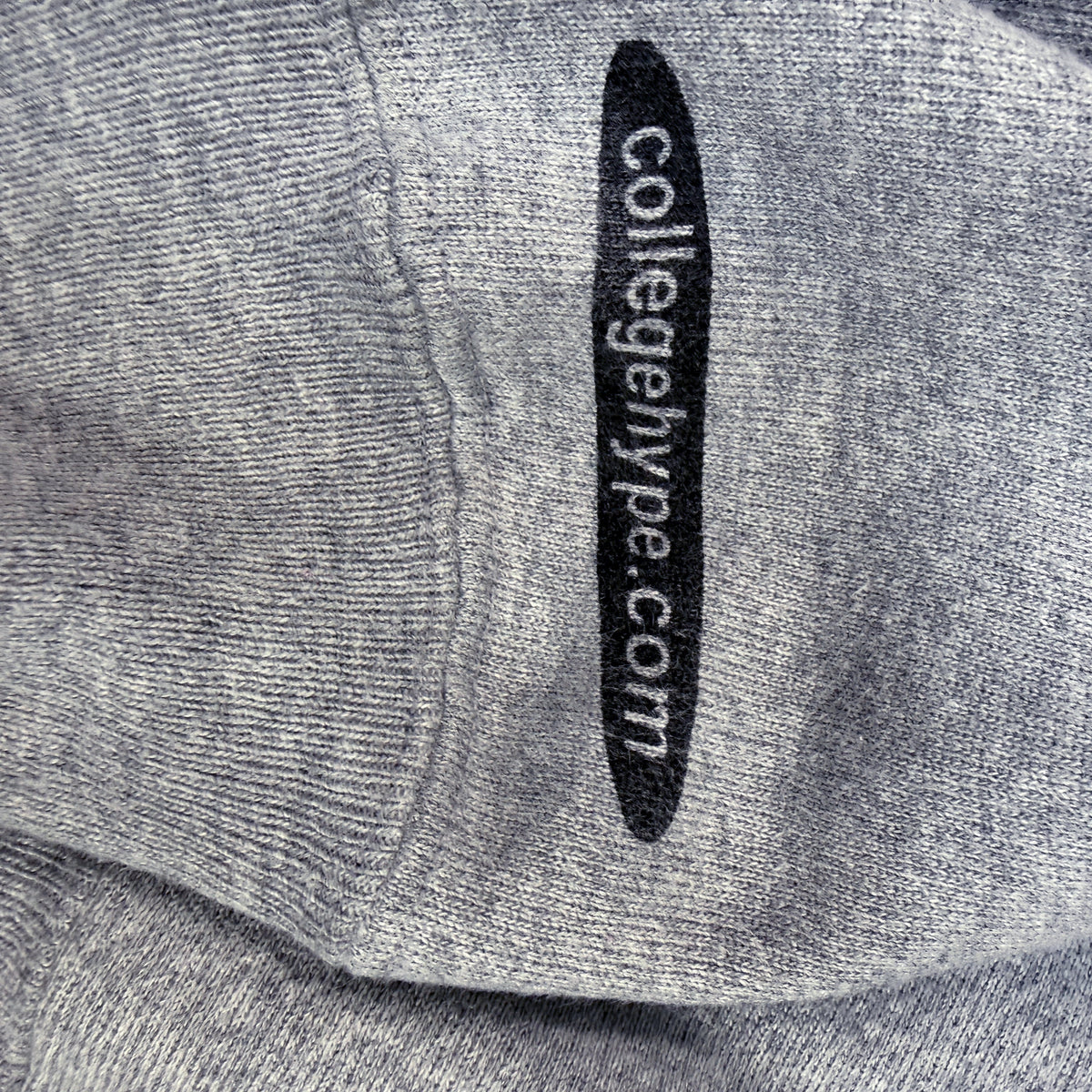 00's Champion プレミアムリバースウィーブ Hingham ADVENTURE CLUB グレー パーカー L 右袖の collegehype.com プリント