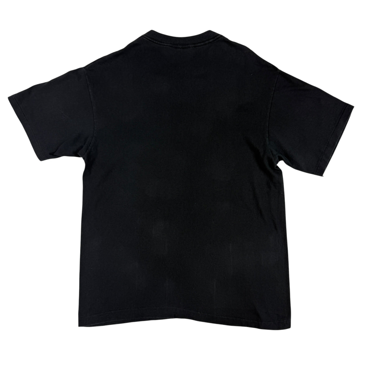 同Tシャツ 背面全体