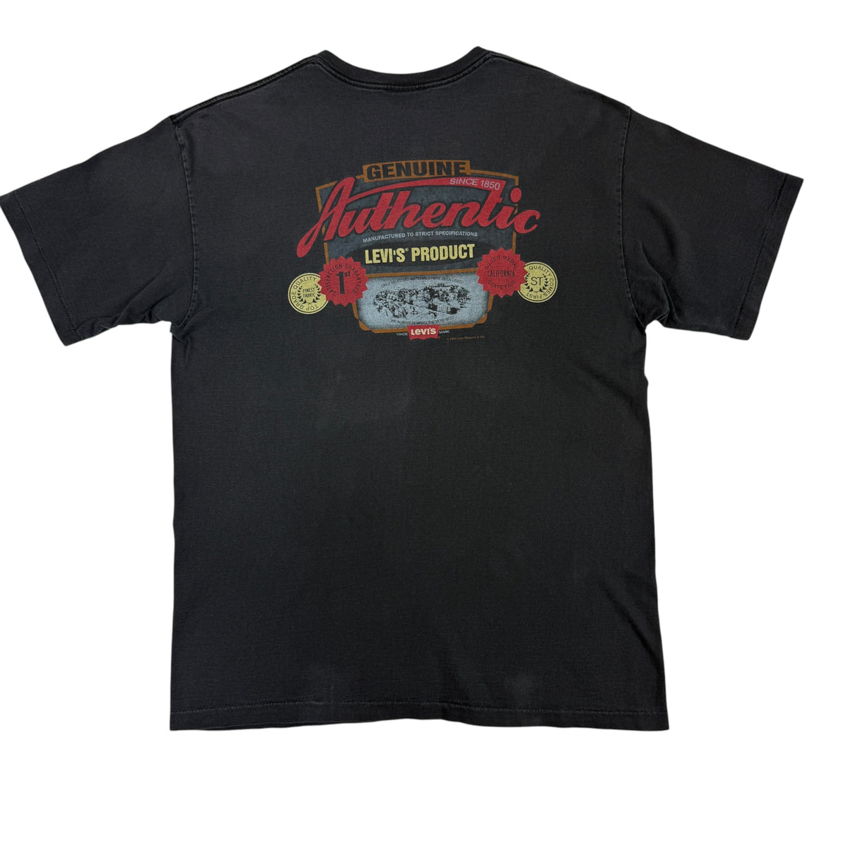 同Tシャツ 背面全体