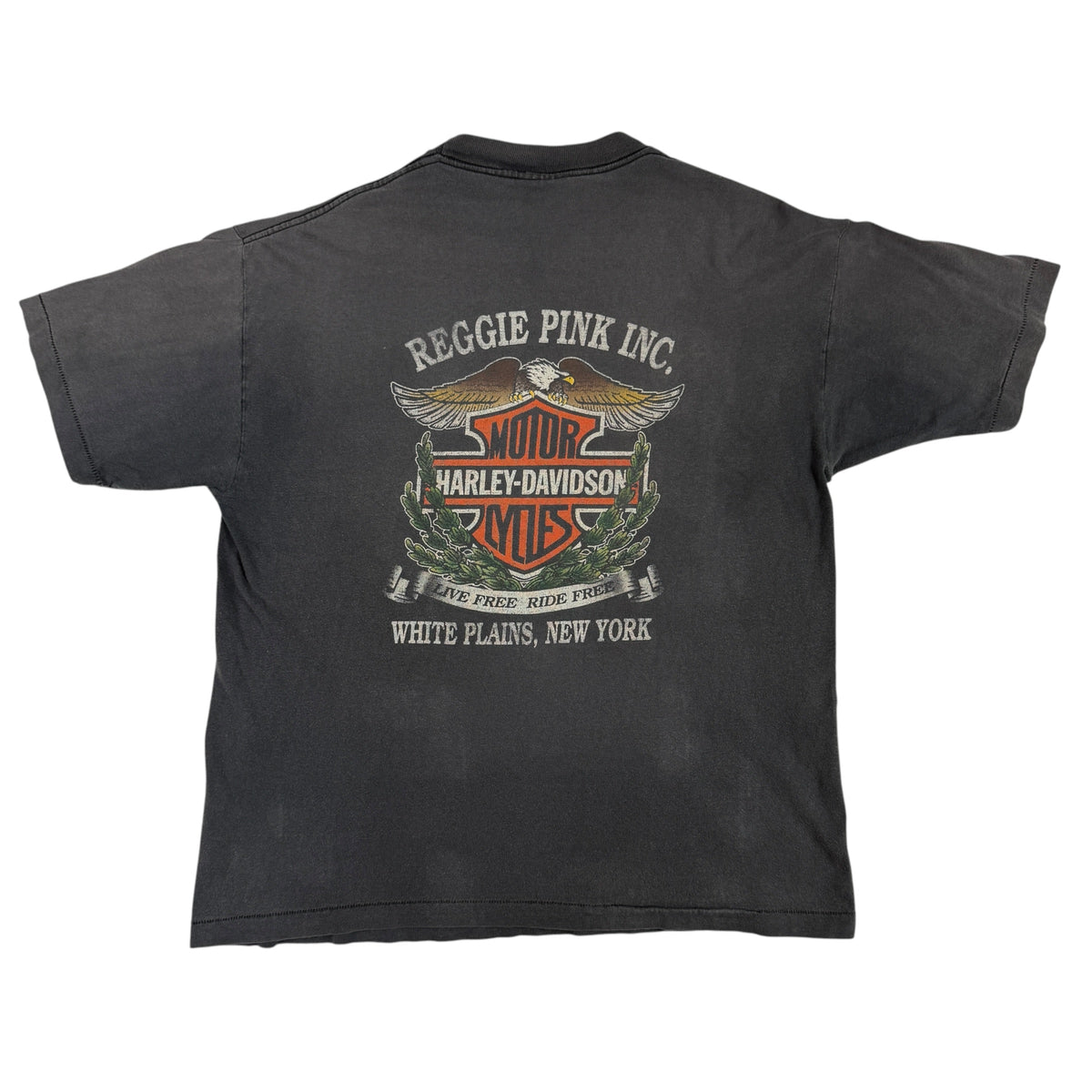 同Tシャツ 背面全体