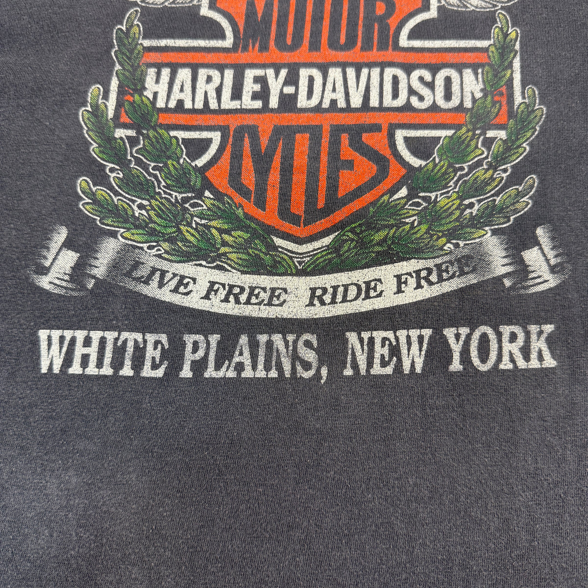 同Tシャツ バックプリント下部 WHITE PLAINS, NEW YORK