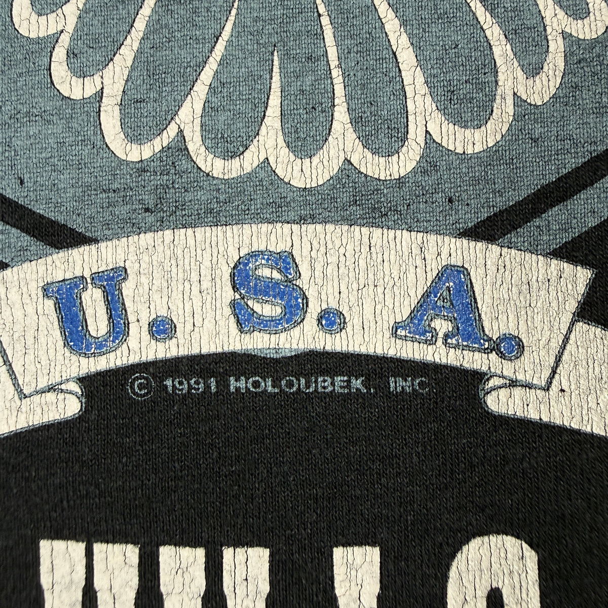90's Harley-Davidson LEGENDS LIVE WHERE LEGENDS ROAM STURGIS 1991 ブラック Tシャツ L バックプリント超寄り U.S.A. と © 1991 HOLOUBEK, INC. の表記 プリントのひび割れ