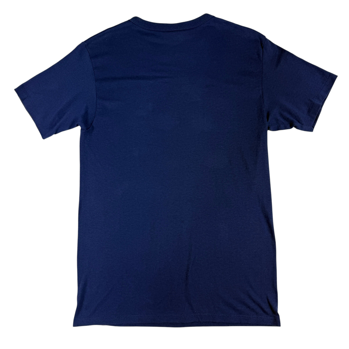 80's Champion UCLA BRUINS Tシャツ 背面全体（無地）