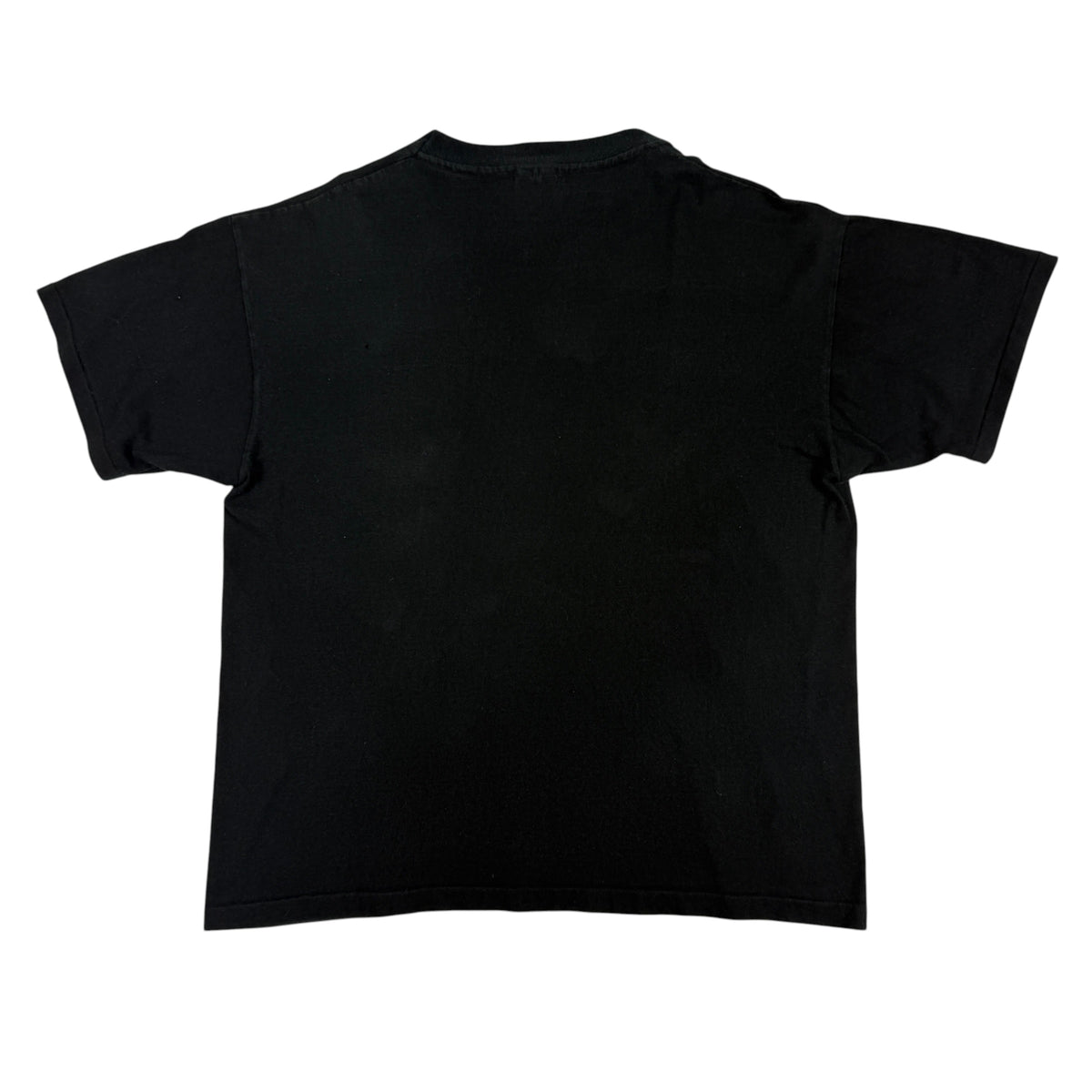 同Tシャツ 背面全体 プリントなし ブラックボディ
