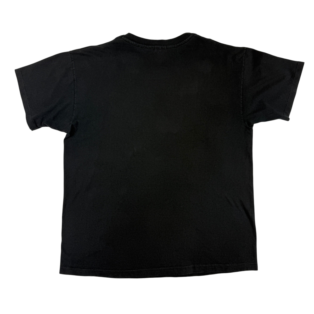 同Tシャツ 背面全体 プリントなし ブラックボディ