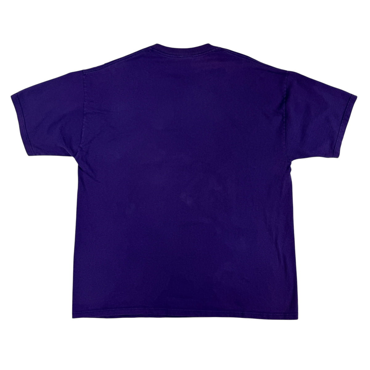 同Tシャツ 背面全体 プリントなし パープルボディ