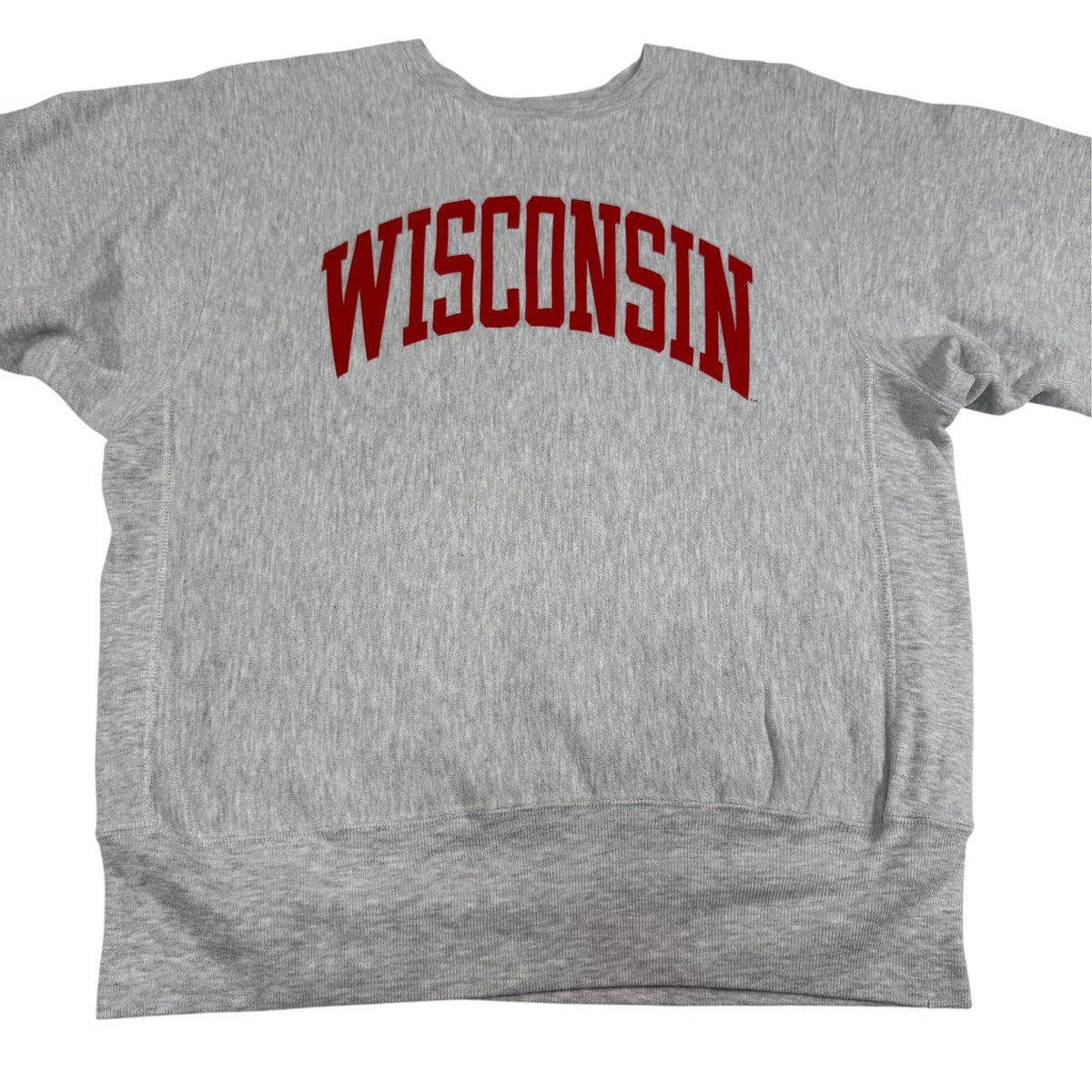90's Champion リバースウィーブ WISCONSIN グレー スウェット L 正面 上半身引き