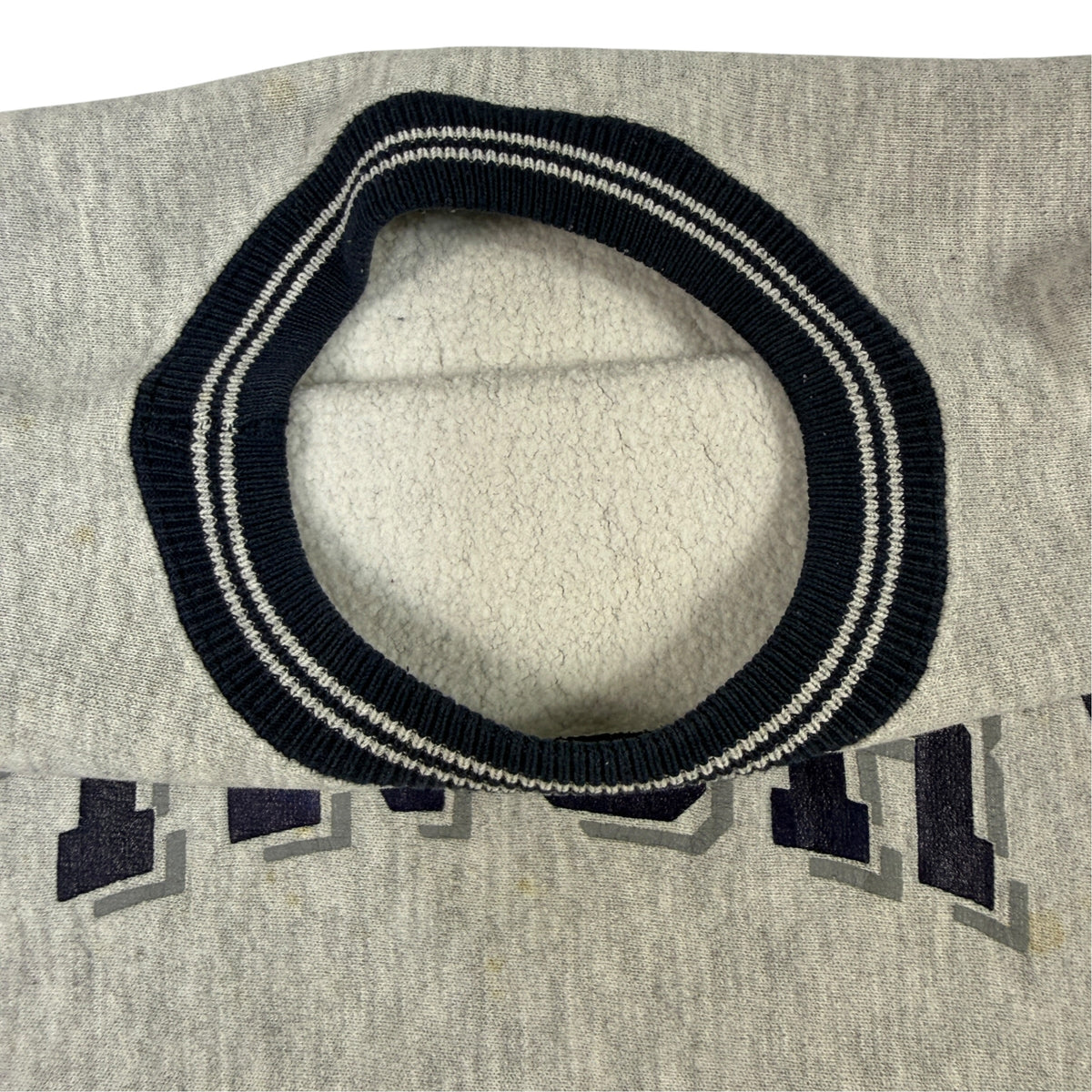 90's Champion リバースウィーブ PINGRY グレー スウェット XL 首元タグ引き