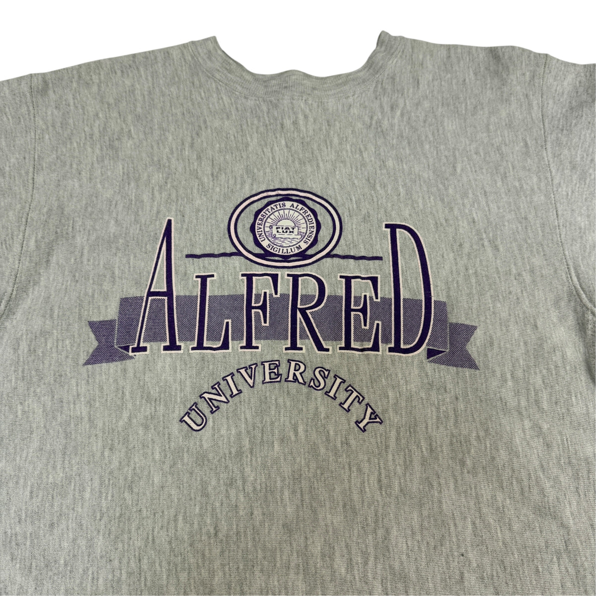 90's Champion リバースウィーブ ALFRED UNIVERSITY 校章プリント グレー スウェット L 胸 ALFRED UNIVERSITY プリント引き