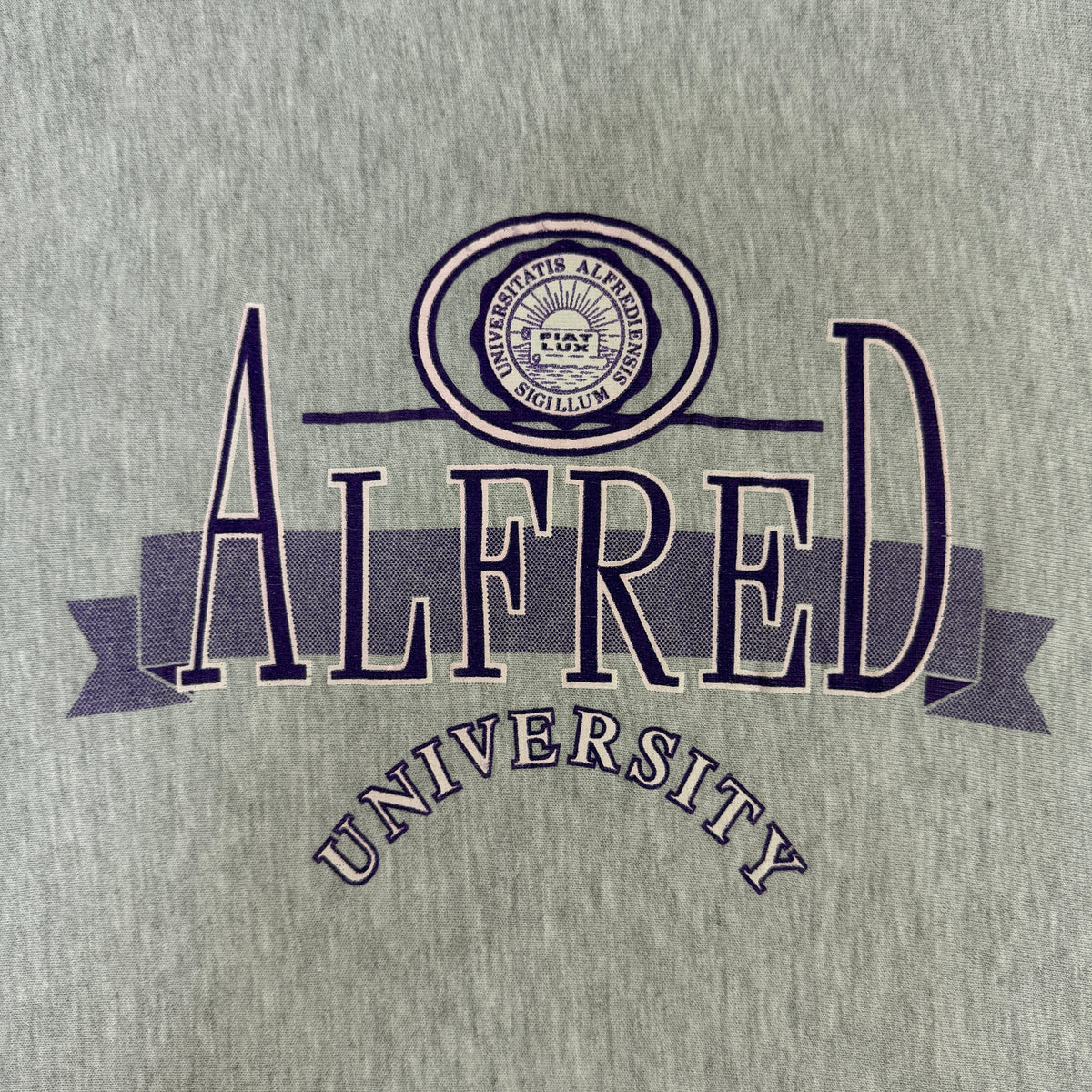 90's Champion リバースウィーブ ALFRED UNIVERSITY 校章プリント グレー スウェット L 胸 校章 FIAT LUX プリント寄り