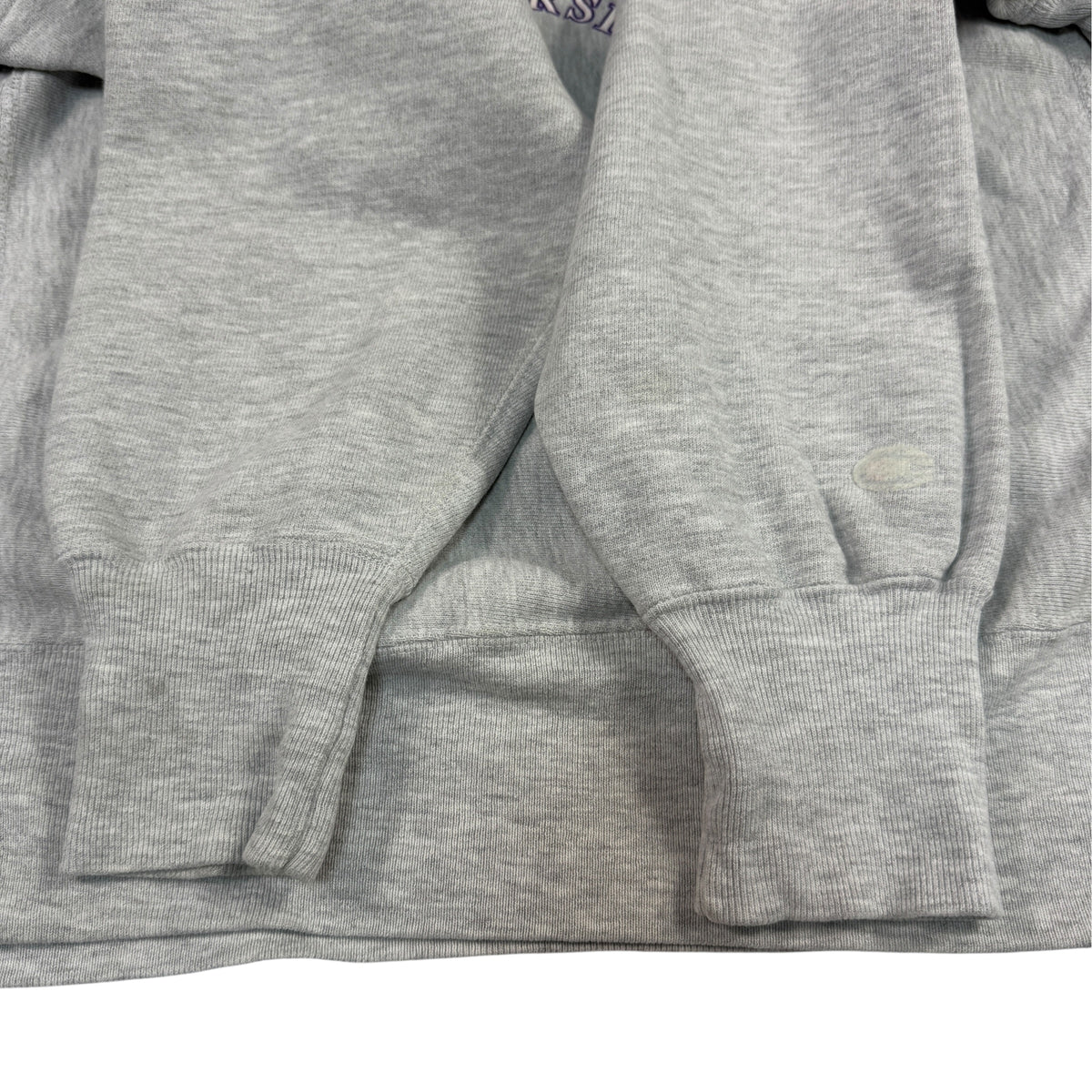 90's Champion リバースウィーブ ALFRED UNIVERSITY 校章プリント グレー スウェット L 袖 小さな点汚れ
