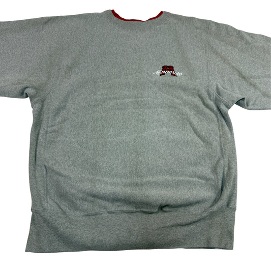 Champion リバースウィーブ Minnesota グレー スウェット 正面全体