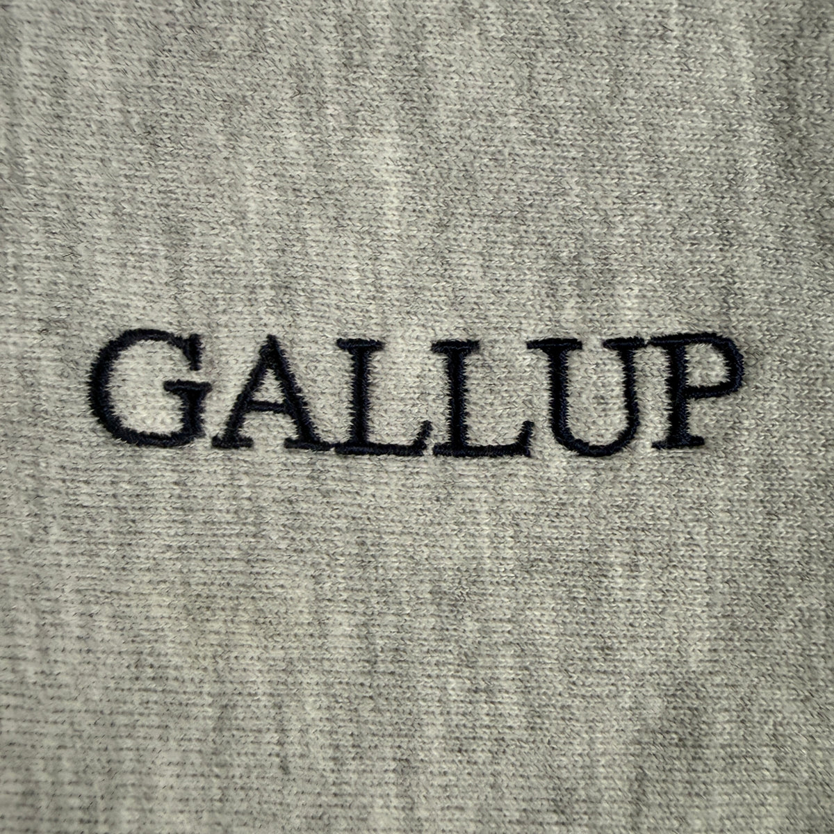 90's Champion リバースウィーブ GALLUP グレー スウェット XXXL 左胸 GALLUP 刺繍 超寄り