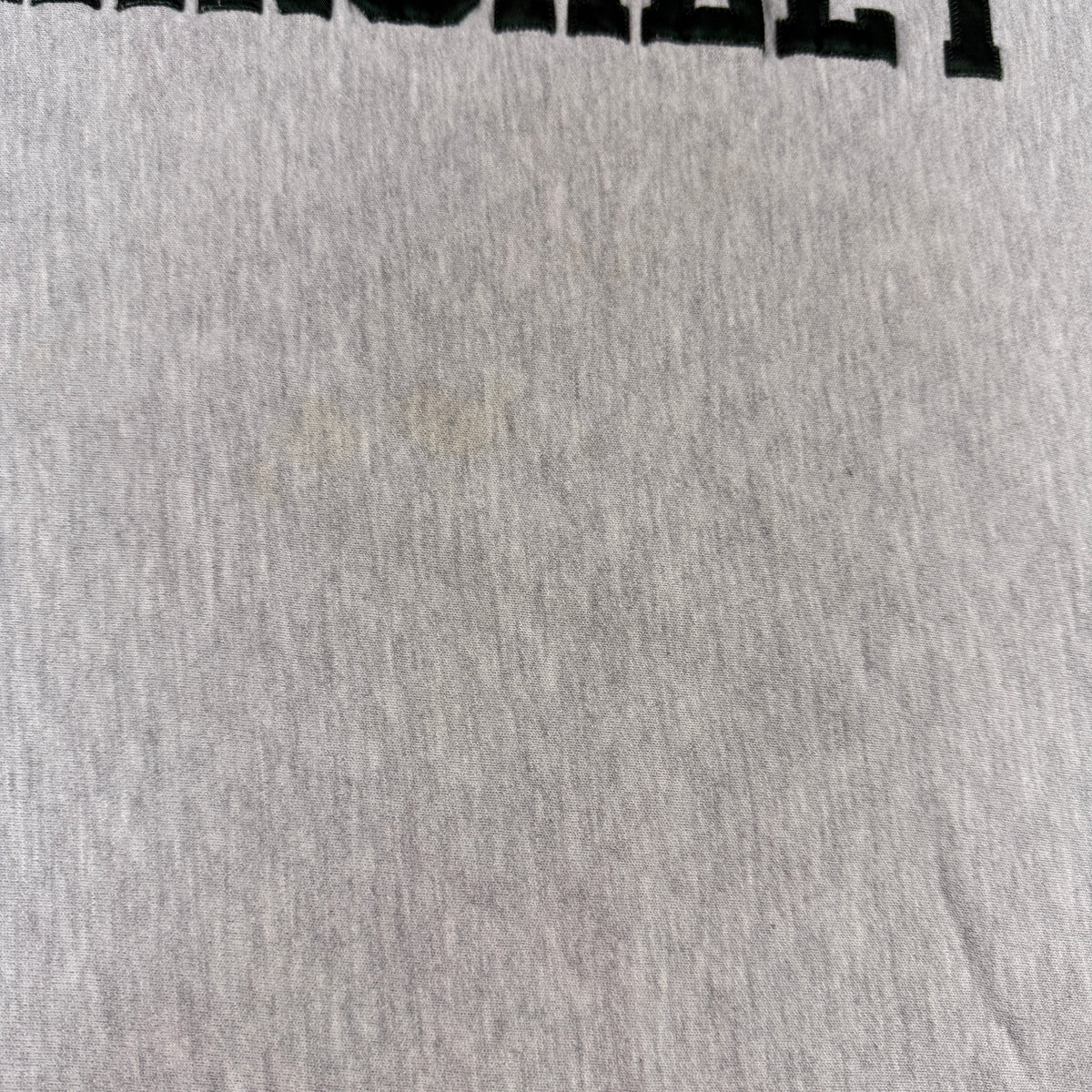 90's Champion リバースウィーブ HINCKLEY グレー スウェット XL 胸 ツイル地の縫い付け 超寄り