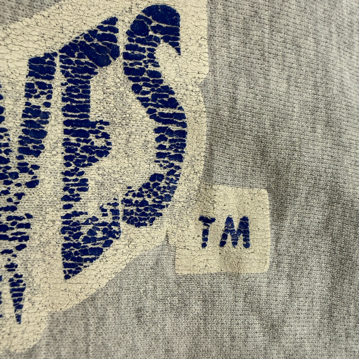 90's Champion リバースウィーブ TIMBERWOLVES グレー スウェット XXL 胸 プリントのひび割れ 超寄り