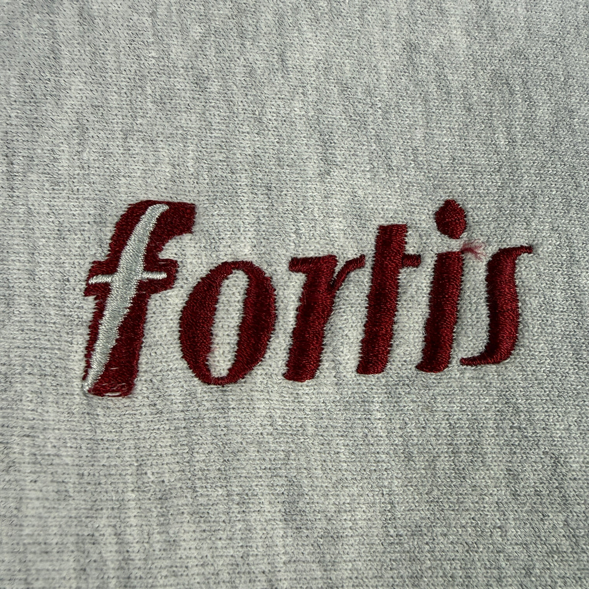 90's Champion リバースウィーブ fortis グレー スウェット XL 左胸 fortis 刺繍引き