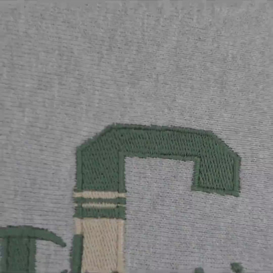 90's Champion リバースウィーブ C×Championスクリプトロゴ刺繍 L 紹介ショート動画（AIナレーション）