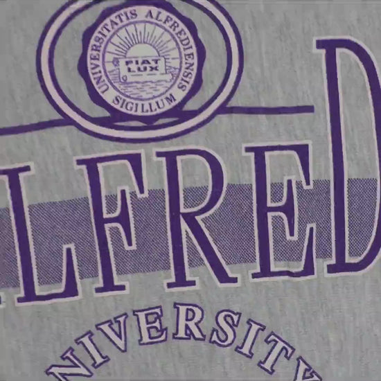 90's Champion リバースウィーブ ALFRED UNIVERSITY グレー L 紹介ショート動画（AIナレーション）