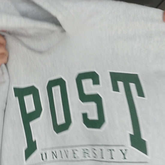 00's Champion プレミアムリバースウィーブ POST UNIVERSITY 両面プリント グレー パーカー XL 紹介ショート動画（AIナレーション）